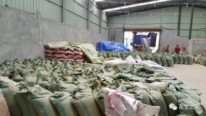 超级供应商「第二年」:河南商丘玉飞花生筛选加工厂(张玉飞)