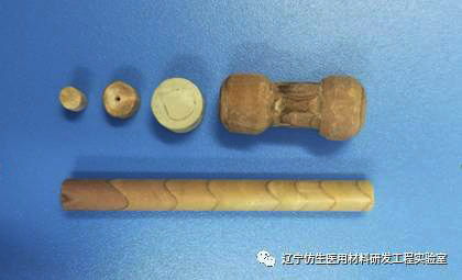中国科学院金属研究所