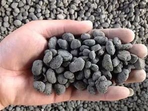 绿萝 茉莉 虎尾兰 2019最佳用土宝典